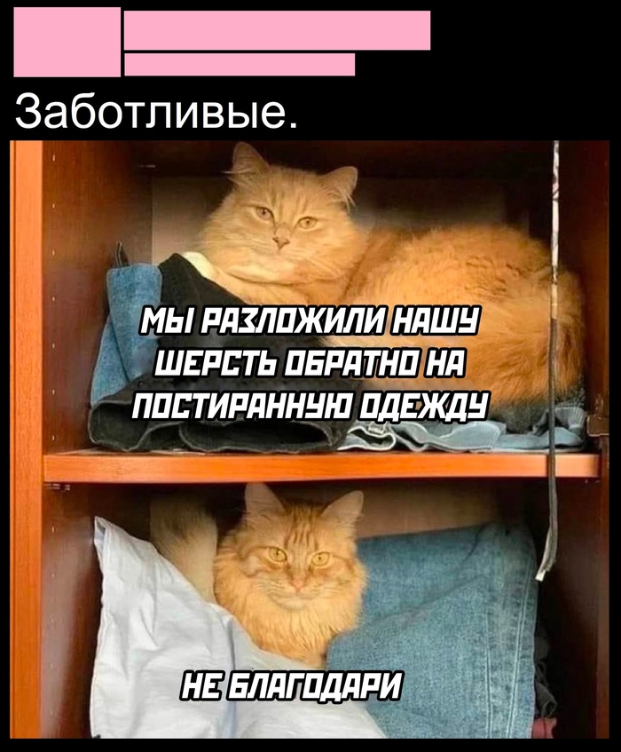  , , ,   ,  , , , 