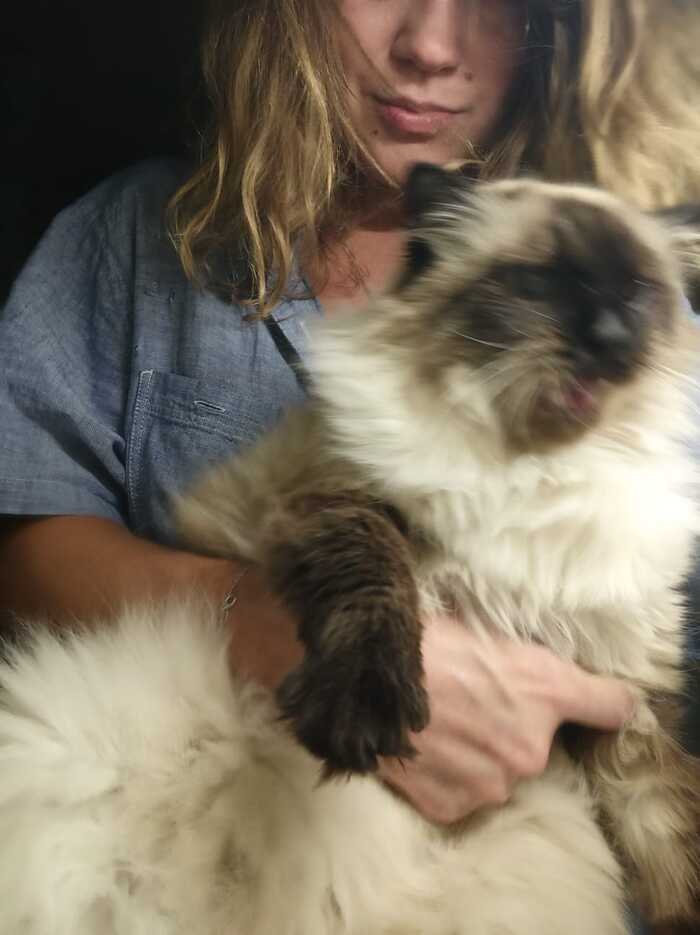      ,      &quot;&quot;,  2