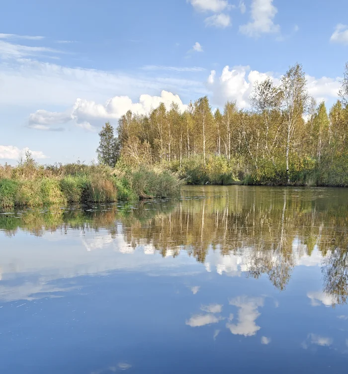 Photo of the day section - My, Nature, Autumn, Mobile photography, Iset River, Yekaterinburg