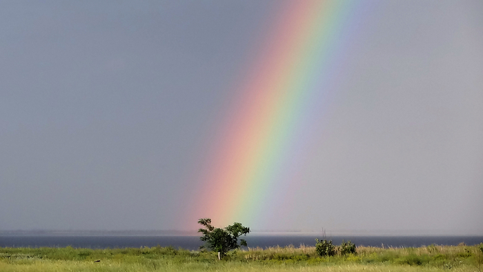 Rainbow