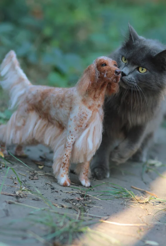 The cat decided to bite the dog - Pets, Wool toy, cat