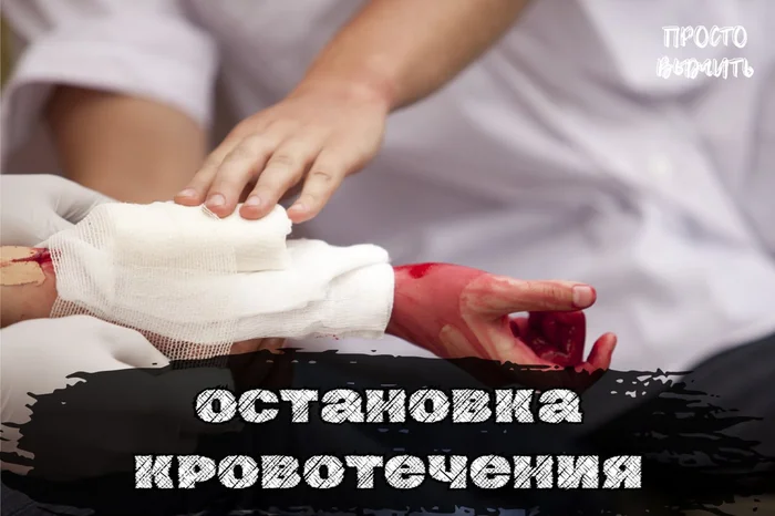 Basic rules for stopping bleeding - My, Health, Education, Survival, How?, Article, Important, First aid, Help, Wound, What to do, Injury, Saving life, Field medicine, Actions, The medicine, Rules, Harness, Wound, Bleeding