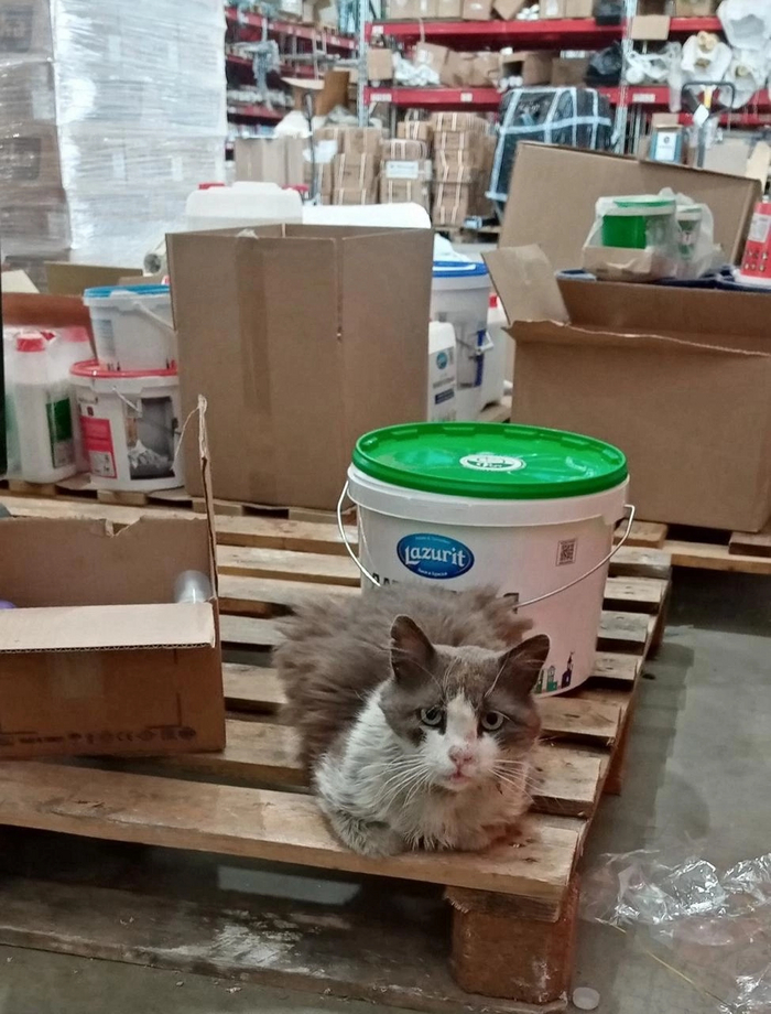 <!--noindex--><a href="https://pikabu.ru/story/proizvodstvennoe_11809090?u=https%3A%2F%2Fvk.com%2Fwall-210310352_33158&t=https%3A%2F%2Fvk.com%2Fwall-210310352_33158&h=50978af49daef2e673b4840fce7a473648d74deb" title="https://vk.com/wall-210310352_33158" target="_blank" rel="nofollow noopener">https://vk.com/wall-210310352_33158</a><!--/noindex-->