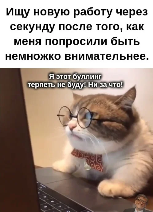 А как вы относитесь к буллингу на работе? - Юмор, Айтишники, Мемы, Кот, Картинка с текстом, Работа, Поиск работы