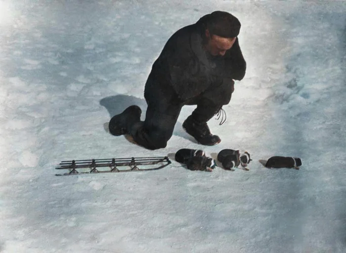 Подборка фотографий из прошлого, которые заставляют удивиться. 20 раскрашенных фотографий из XIX-ХХ века. Часть IX Историческое фото, Старое фото, Фотография, Колоризация, 19 век, 20 век, Длиннопост