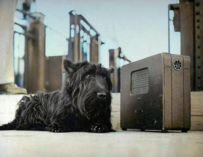 Подборка фотографий из прошлого, которые заставляют удивиться. 20 раскрашенных фотографий из XIX-ХХ века. Часть IX Историческое фото, Старое фото, Фотография, Колоризация, 19 век, 20 век, Длиннопост