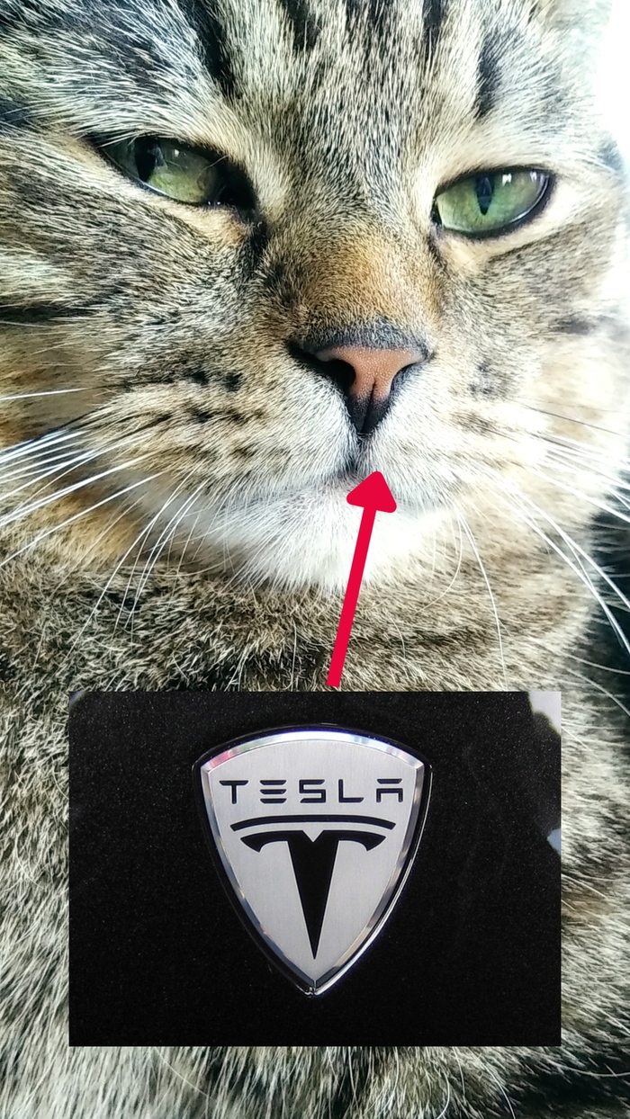   ? , , , , Tesla, , 