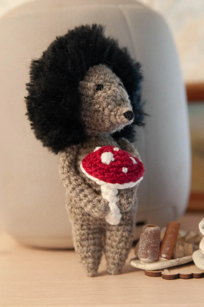 Need a woolly mushroom picker for your company? - My, Wool toy, Handmade, Needlework, Knitting, Decor, Needlework without process, Amigurumi, Hedgehog, Author's toy, Crochet, Knitted toys, Soft toy, Longpost