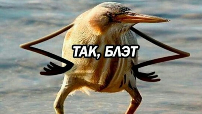           75% 