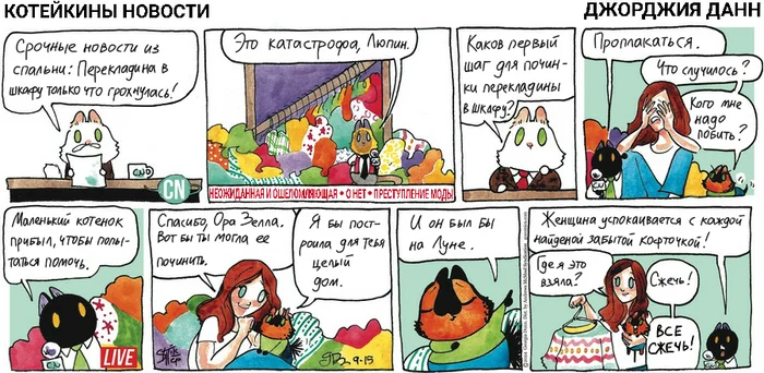 Koteikiny News from 09/15/2024 - My, Translation, Koteikin news (comic), Comics, cat