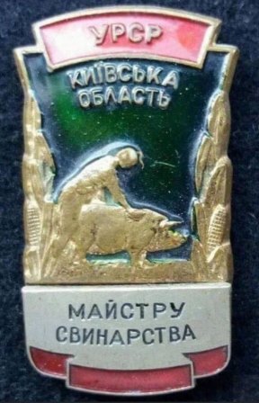 Badge from the USSR era - Humor, the USSR, Reward, Icon