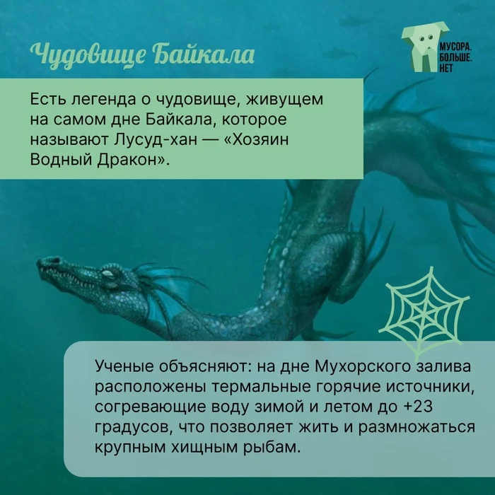 Is there a sea monster living in Lake Baikal? - My, Nature, Ecology, Rare view, Around the world, Garbage, Baikal, Lake, Mbn, Eco-education, The nature of Russia, Water, The hot springs, Thermal springs, A fish, Predatory fish