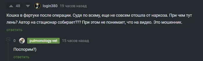 Клинический случай - диагностическая лапаротомия - Моё, Ветеринария, Операция, Кот, Болезнь, Лечение, Длиннопост