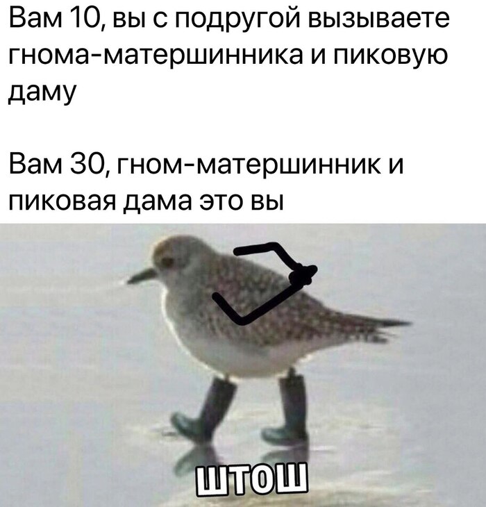 ����-����������� � ������� ����