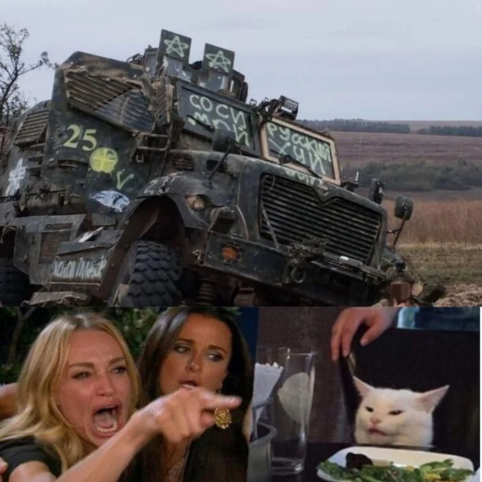 Who should suck whom? - Special operation, Mat, cat, Unclear, Two women yell at the cat, Picture with text, Memes