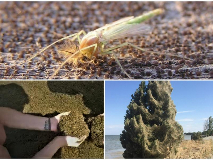 Вот это наживки привалило!