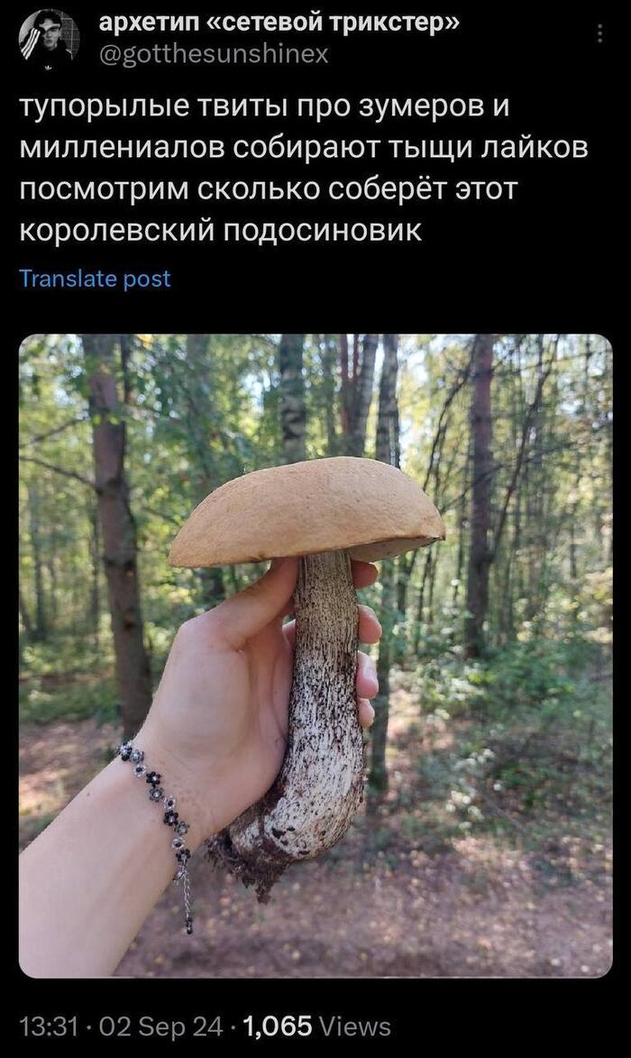 This is a birch bolete! - Screenshot, Twitter, Boletus, Boletus, Mushrooms, Dispute, Longpost