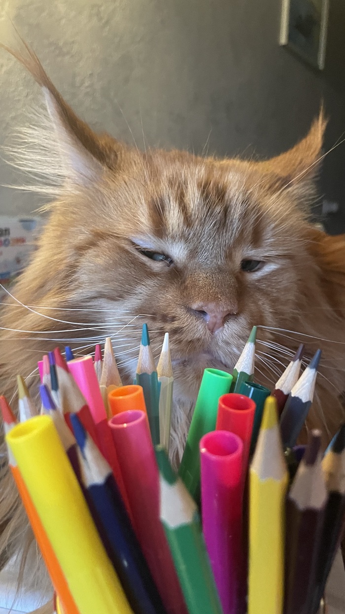 Какой же цвет выбрать?