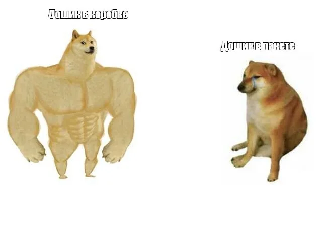 This is true - Memes, Picture with text, Doge, Doshirak