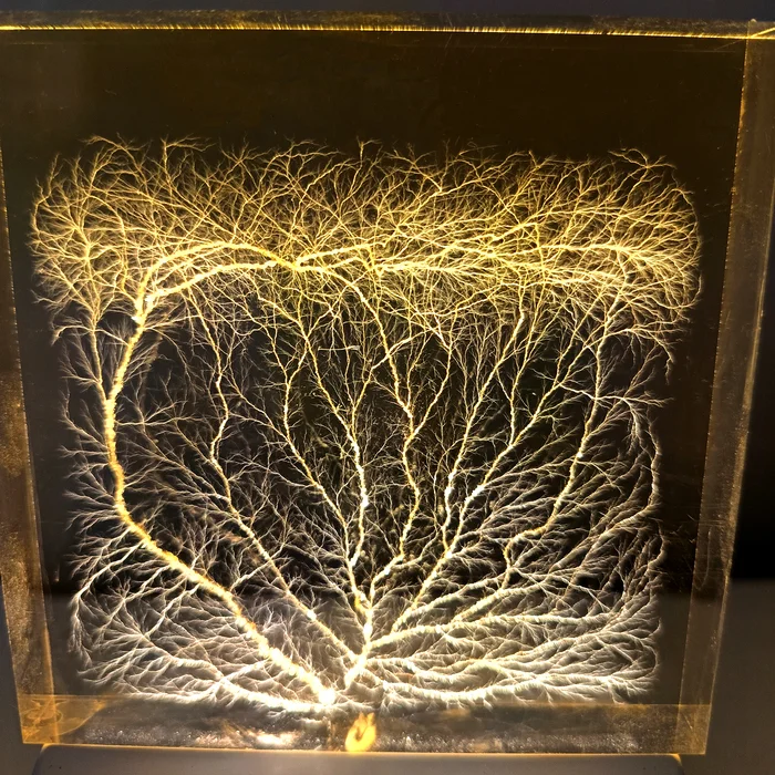 Lightning in glass square - My, Lichtenberg figures, Physics, High voltage, Longpost