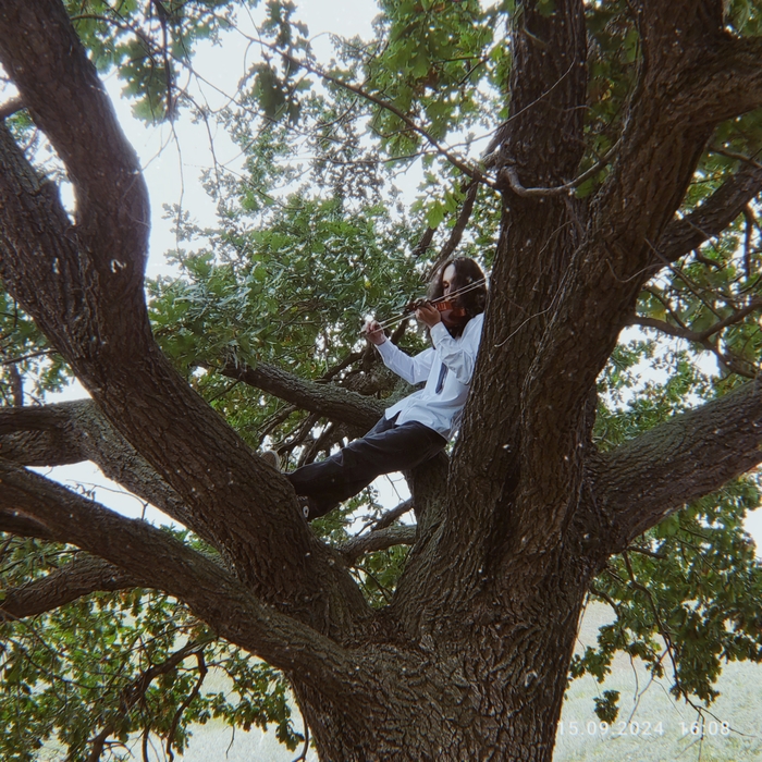 ����� ���������� ����� ����� ������ ����