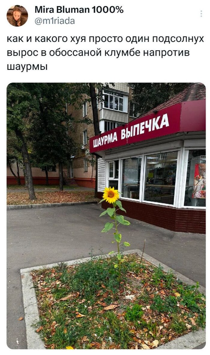Зато красив