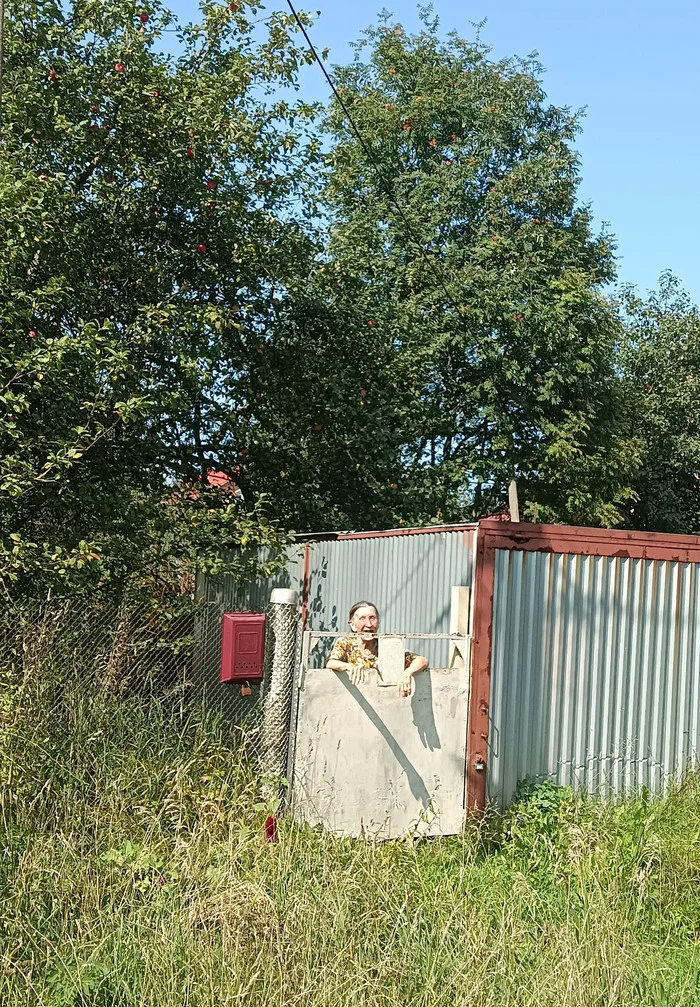 Come in if you need anything. - My, Grandmother, Positive, Village, cat, Longpost