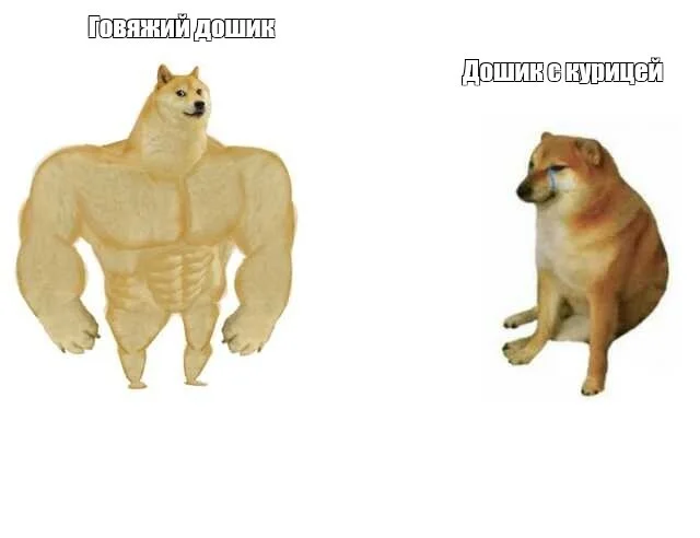 Strength - Memes, Doshirak, Picture with text, Doge