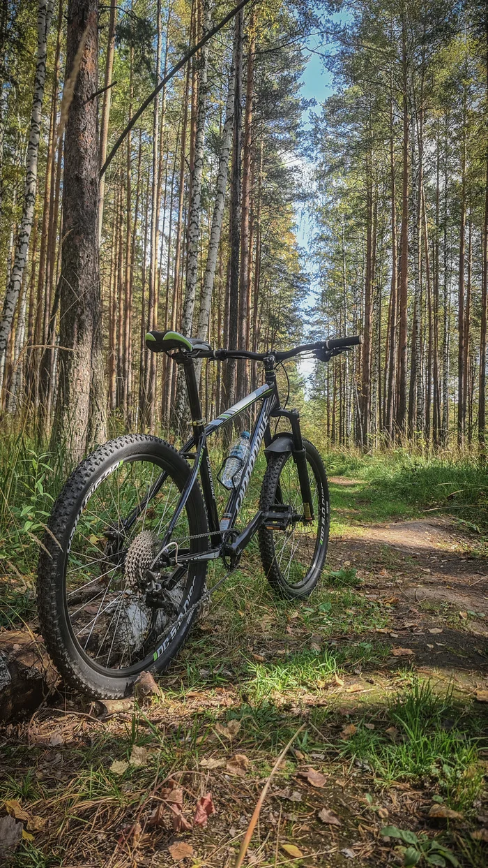 The smell of autumn - My, A bike, Cyclist, Autumn leaves, Forest, Sverdlovsk region, Longpost, Mobile photography