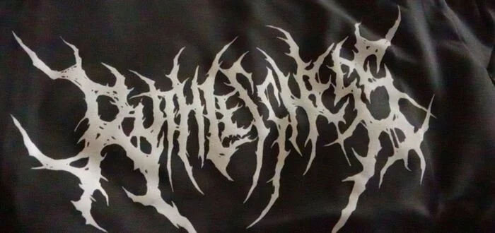 Help me decipher - T-shirt, Wildberries, Black metal, Death metal, Logo, Inscription, Question, No rating