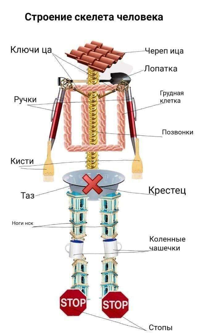 Скелет - Юмор, Мемы, Картинка с текстом, Скелет, Telegram (ссылка)