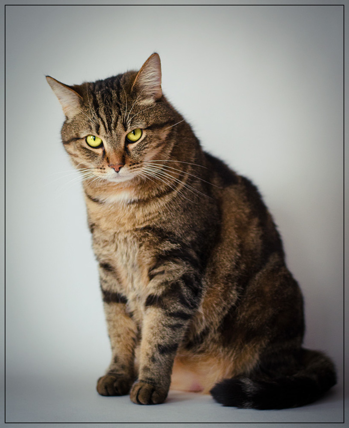 Ответ на пост «Стрёмный случай»