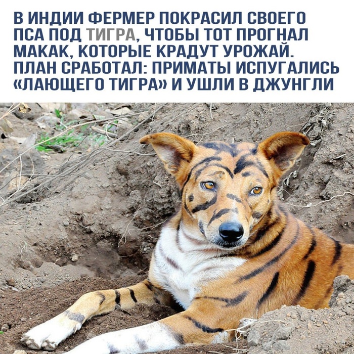 Кем нужно быть в СВОЕЙ Стране и в своем Городе/Регионе ?