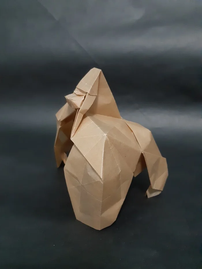 Origami Gorilla (Jeong Jae IL) - Оригами, Горилла, Дайан Фосси, Видео, Вертикальное видео, Длиннопост