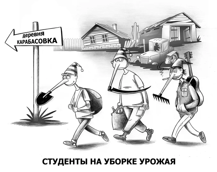 Уборка урожая - Моё, Сергей Корсун, Карикатура, Студенты