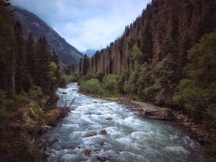 Где-то в горах Домбая - Моё, Путешествия, Фотография, Пейзаж, Горы, Кавказ, Кавказские горы, Домбай, Река, Лес