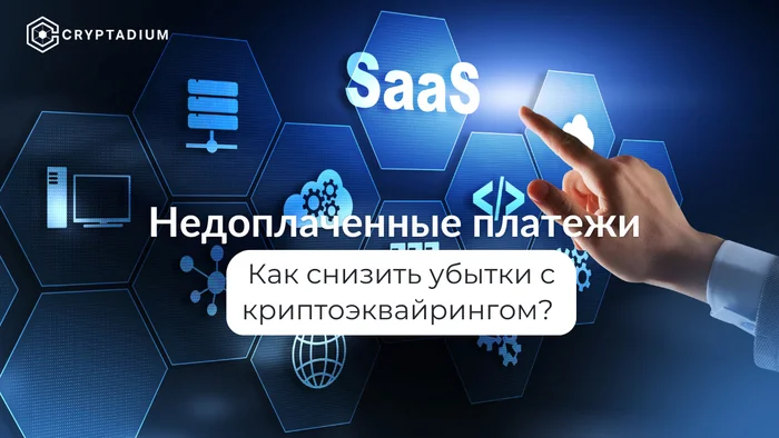 Cryptoacquiring as a means to reduce losses from unpaid payments in the SaaS sector - Business, Bitcoins, Cryptocurrency, Economy