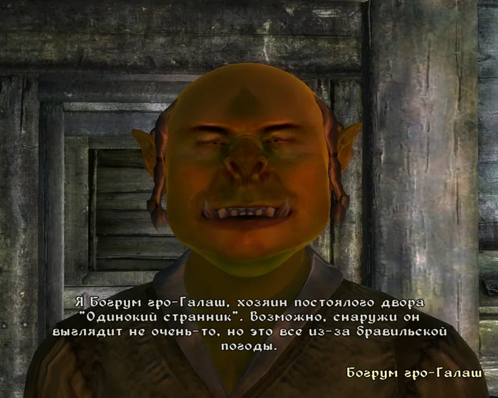 Handsome Orc - My, Bethesda, The elder scrolls, The Elder Scrolls IV: Oblivion, RPG, Tamriel, Cyrodile, Orcs, Nostalgia, Screenshot