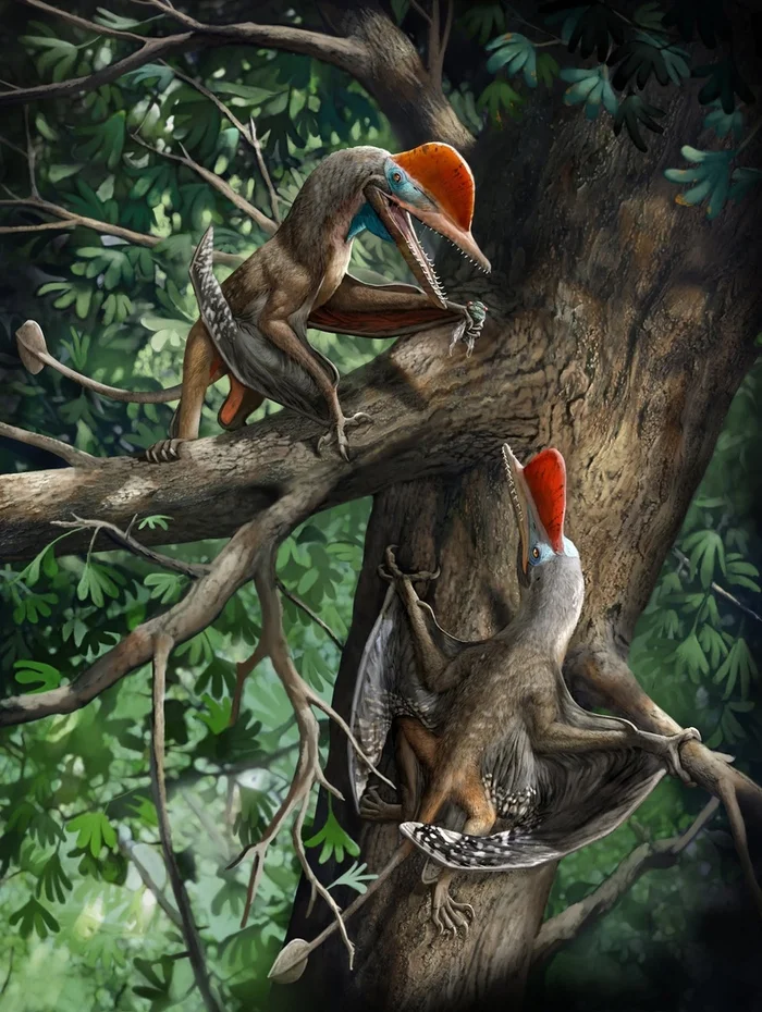 Ukunopterid pterosaurs - Mythology, China, Sun wukong, Sun Wukong, Monkey King, Paleontology, Dinosaurs, Longpost