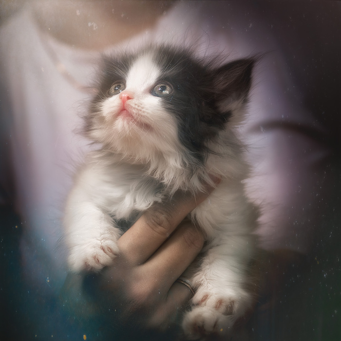 ! , , , 