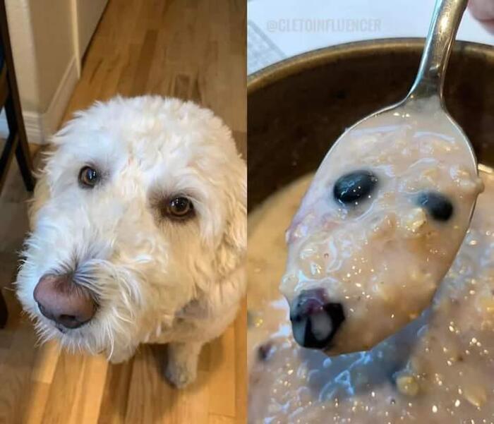   ,   ?