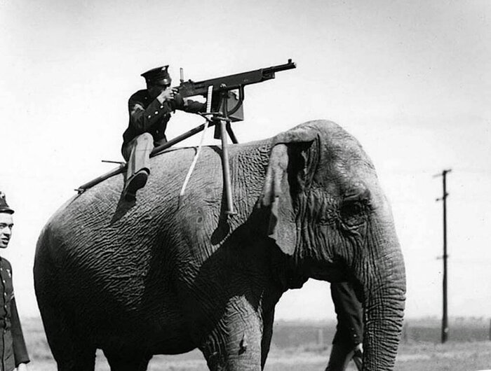 ������������ �������������� ������� �� ������� Colt M1895 �� ������, ������������� �� ����� �����