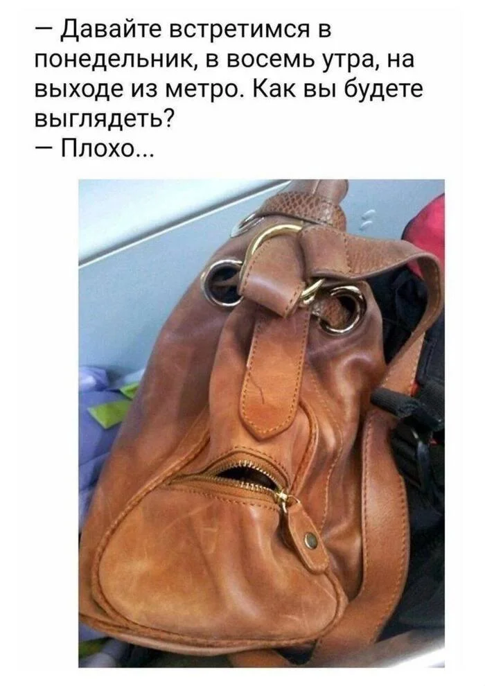 Monday - Humor, Picture with text, Memes, Monday, Pareidolia, Сумка, Telegram (link)