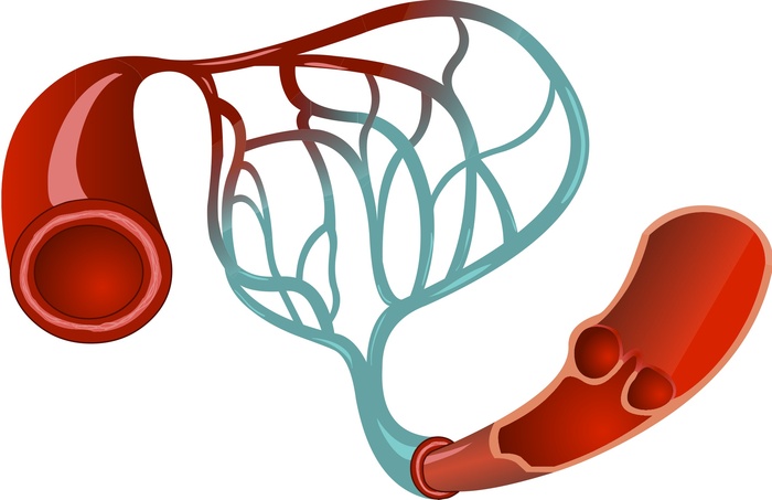 Сосу дик (а не то, что ты подумал, охальник!)