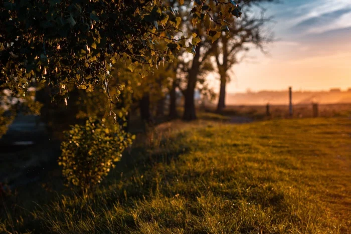 Good evening! - My, Sunset, Ryan Gosling, Clouds, Nature, Vibe