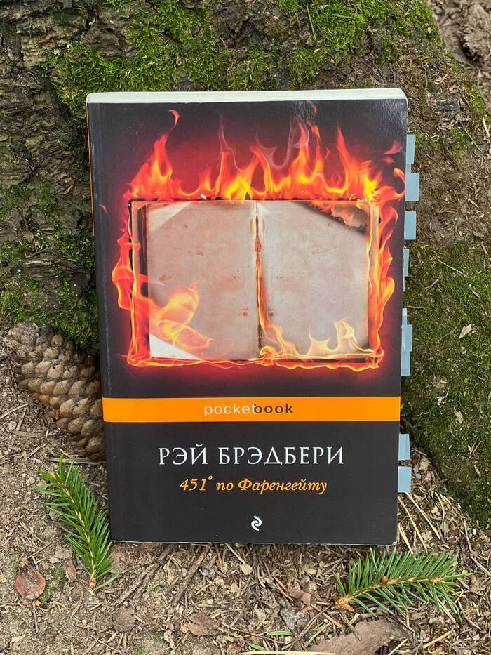 Отзыв на книгу «451° по Фаренгейту» Рэя Брэдбери - Моё, Книги, Рецензия, Что почитать?, Обзор книг, Чтение, Антиутопия, Длиннопост