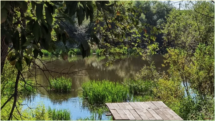 Warm September 2024...and fishing - My, The photo, Nature, Landscape, Heat, Fishing, Longpost