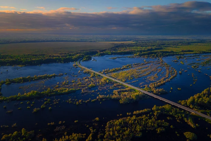 The route through the Inkinsky swamps in the Tomsk region - Swamp, Track, The photo, Tomsk region, Sunset