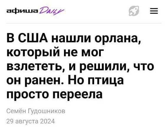 Когда побывал в гостях у бабушки - Птицы, Новости, Переедание