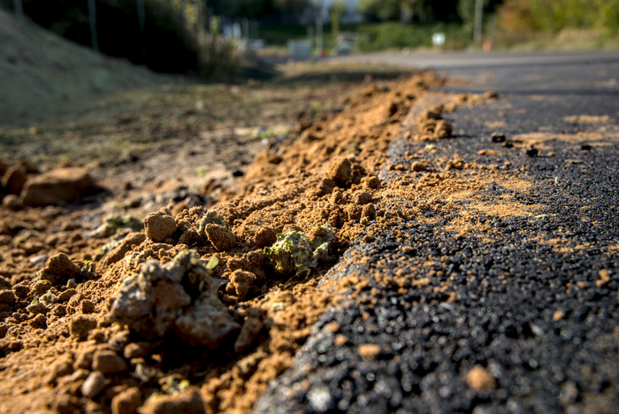"Наливной газон" представляет собой смесь краски и целлюлозы, распыленный на неподготовленный песок. При первых же серьезных дождях и снеге это будет смыто